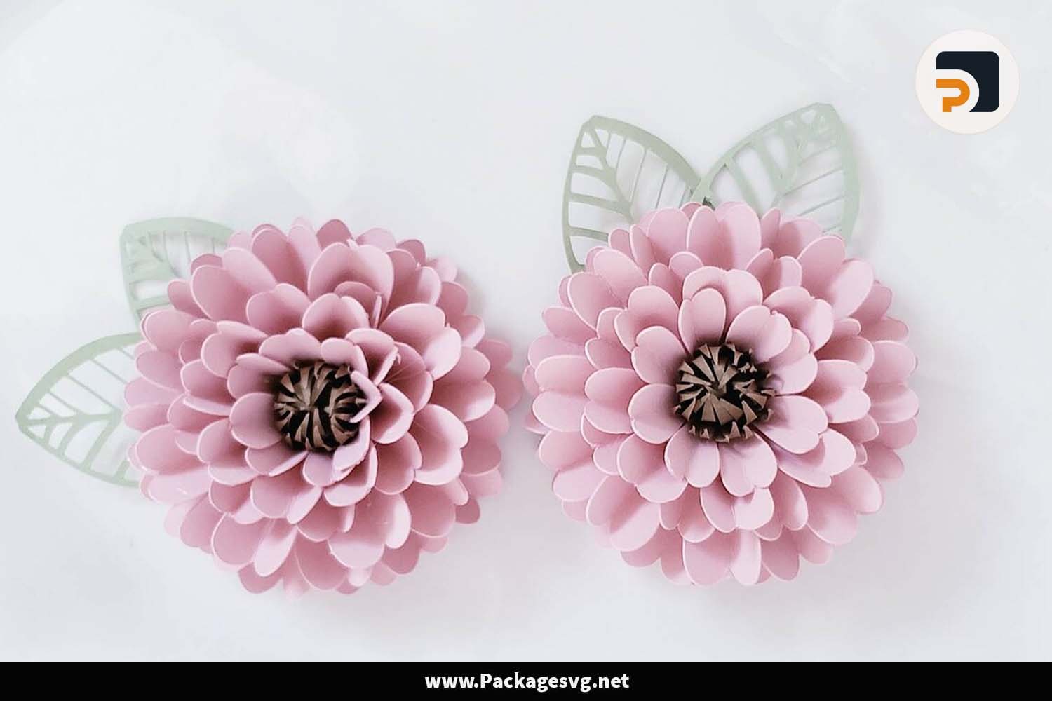 3D Zinnia Flower Papercut