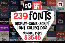 Display Sans Script Font Collections