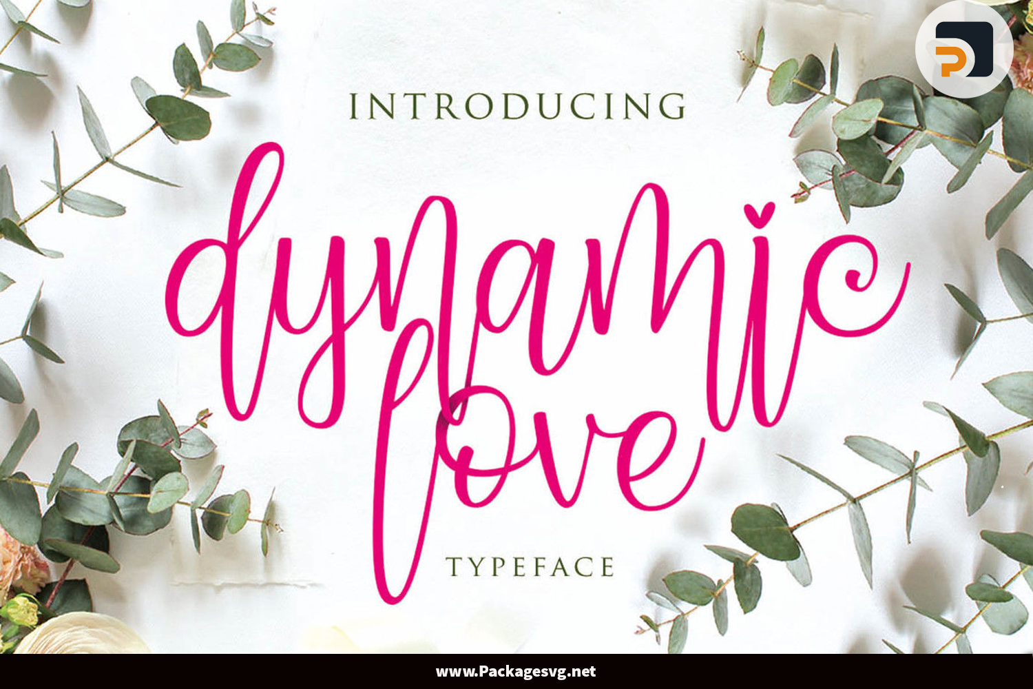 Dynamic Love Script Font