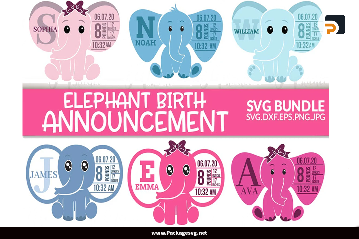 Elephant Birth Stats SVG