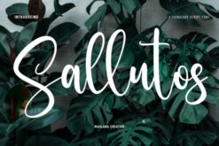 329 Fonts Collection Digital Download LCYG1MI3|||