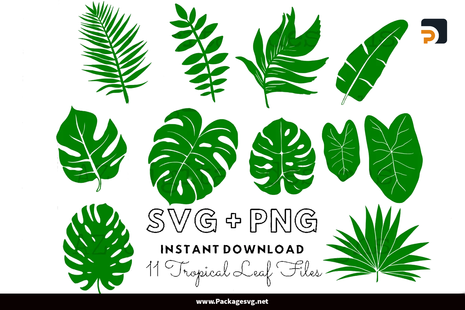 Tropical Leaves SVG Bundle