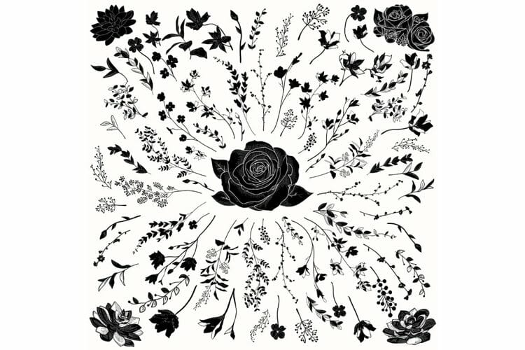 Vector Florals Black Shapes. Hand Drawn Herbs