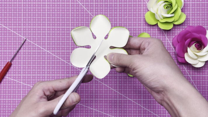 Hold one layer of petals and use scissors to cut the remaining four layers in half.