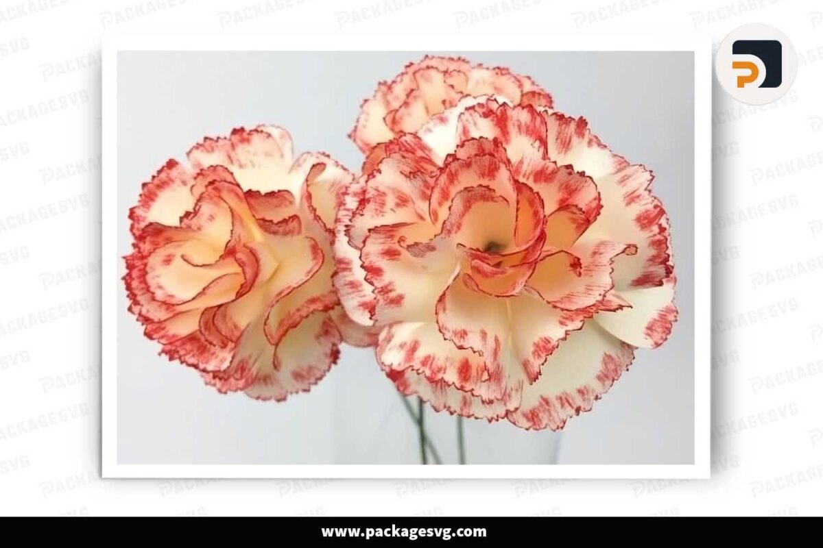 Carnation Flower Paper, SVG Template For Cricut LHH4FHBV - Package SVG