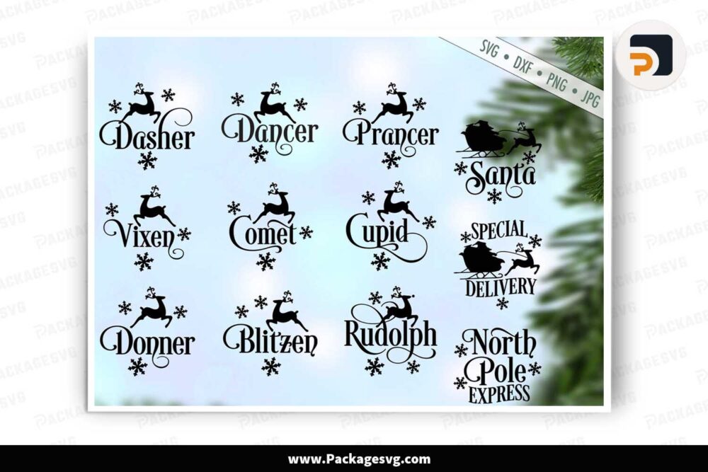 Christmas Reindeer Names SVG Bundle, 12 Snowflake Designs LMZTJ0UO