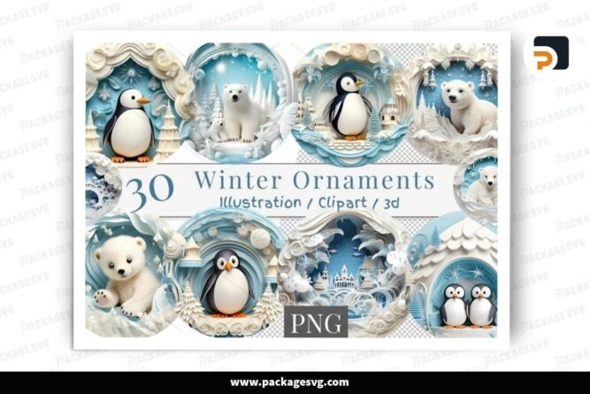 3D Winter Ornament Subliamtion, 30 Design Files LPG7KWY5